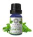 Huile essentielle de menthe pouliot