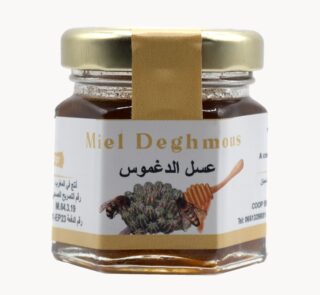 Miel Deghmous